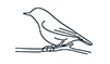 icone d'oiseau sur une branche