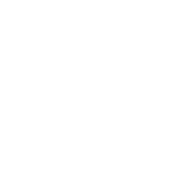 logo CIR