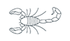icone de petite faune style scorpion