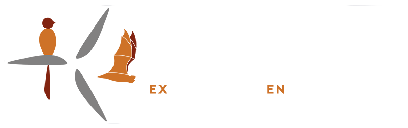 exen-pro.net15.eu